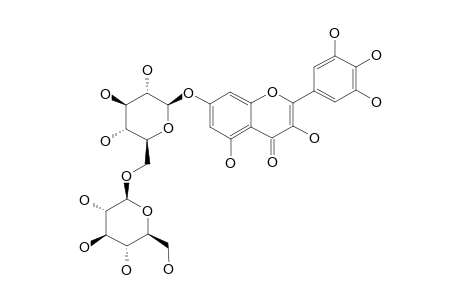 MYRICETIN-7-O-BETA-D-GLUCOPYRANOSYL-(1->6)-BETA-D-GLUCOPYRANOSIDE