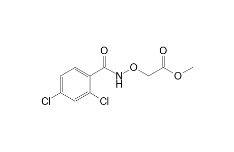 Acetic acid, [[(2,4-dichlorobenzoyl)amino]oxy]-, methyl ester