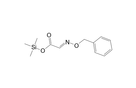 Acetic acid, [(phenylmethoxy)imino]-, trimethylsilyl ester
