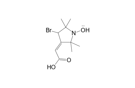 (1-Oxyl-4-bromo-2,2,5,5-tetramethylpyrrolidin-3-ylidene)acetic acid