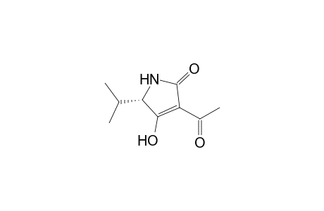 2H-Pyrrol-2-one, 3-acetyl-1,5-dihydro-4-hydroxy-5-(1-methylethyl)-, (S)-