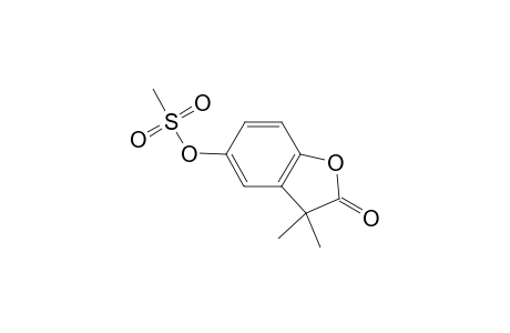 2(3H)-Benzofuranone, 3,3-dimethyl-5-[(methylsulfonyl)oxy]-