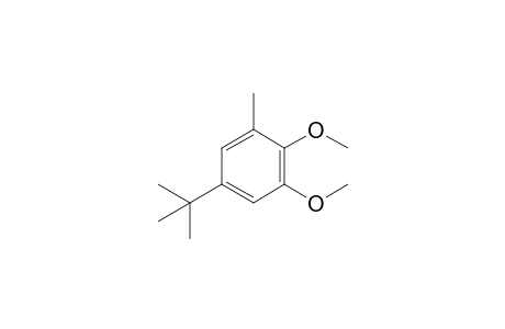 5-tert-butyl-1,2-dimethoxy-3-methylbenzene