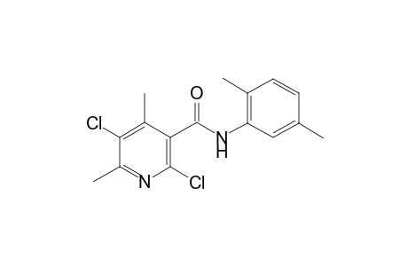2,5-bis(chloranyl)-N-(2,5-dimethylphenyl)-4,6-dimethyl-pyridine-3-carboxamide