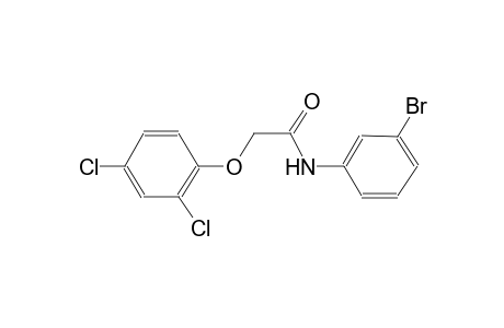 N-(3-Bromo-phenyl)-2-(2,4-dichloro-phenoxy)-acetamide