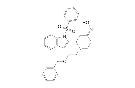(NZ)-N-[1-(2-phenylmethoxyethyl)-2-[1-(phenylsulfonyl)indol-2-yl]piperidin-4-ylidene]hydroxylamine