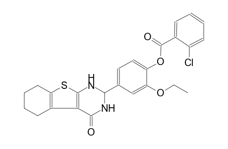 2-ethoxy-4-(4-oxo-1,2,3,4,5,6,7,8-octahydro[1]benzothieno[2,3-d]pyrimidin-2-yl)phenyl 2-chlorobenzoate