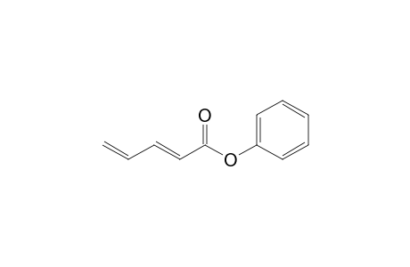 (2E)-penta-2,4-dienoic acid phenyl ester