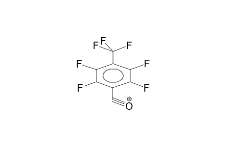 HEPTAFLUORO-PARA-TOLUIDYL CATION