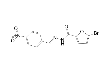 5-bromo-N'-[(E)-(4-nitrophenyl)methylidene]-2-furohydrazide