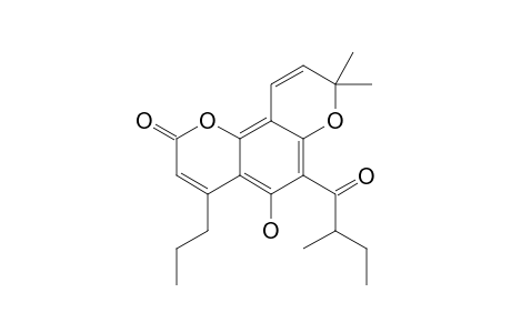 5-HYDROXY-6-(2-METHYL-1-OXOBUTYL)-4-N-PROPYL-6',6'-DIMETHYL-PYRANO-(2',3':7,8)-COUMARIN