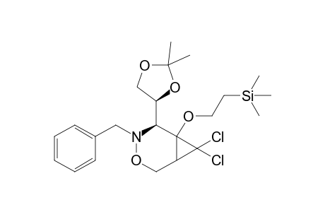 (5S,4'S)-4-Benzyl-7,7-dichloro-5-(2',2'-dimethyl-1',3'-dioxolan-4'-yl)-6-[2-(trimethylsilyl)ethoxy]-3-oxa-4-azabicyclo[4.1.0]-heptane
