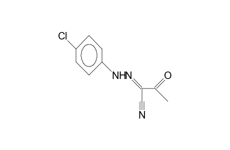 2-(4-Chloro-phenylhydrazono)-3-oxo-butyronitrile