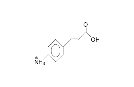 P-Amino-cinnamic acid, cation