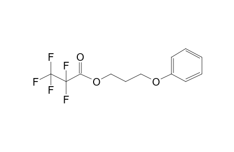 3-Phenoxypropyl 2,2,3,3,3-pentafluoropropanoate