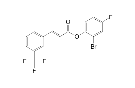2-Bromo-4-fluorophenyl (2E)-3-[3-(trifluoromethyl)phenyl]-2-propenoate