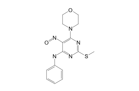 N-PHENYL-2-METHYLTHIO-6-MORPHOLINO-5-NITROSO-PYRIMIDIN-4-AMINE
