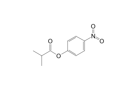2-Methylpropanoic acid (4-nitrophenyl) ester
