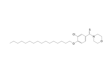 4-[3-chloro-4-(hexadecyloxy)thiobenzoyl]morpholine