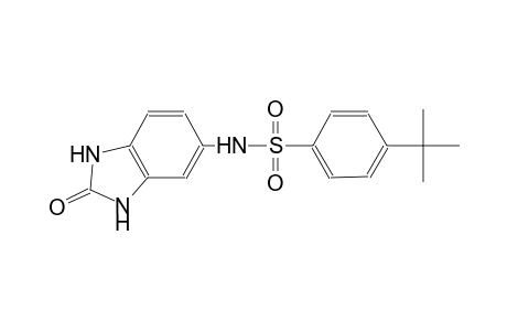 4-tert-butyl-N-(2-oxo-2,3-dihydro-1H-benzimidazol-5-yl)benzenesulfonamide