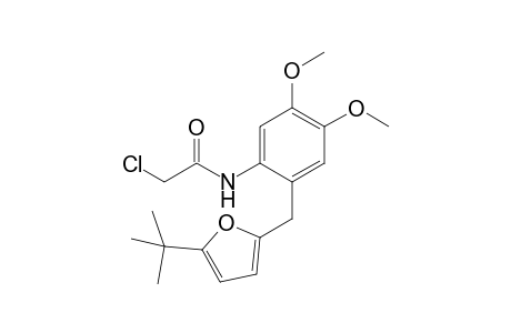 N-{2-[(5-tert-Butyl-2-furyl)methyl]-4,5-dimethoxyphenyl}-2-chloroacetamide