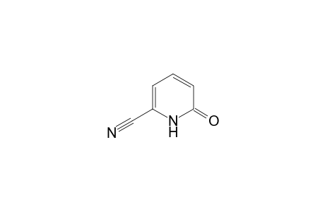6-keto-1H-pyridine-2-carbonitrile