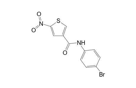 N-(4-bromophenyl)-5-nitro-3-thiophenecarboxamide