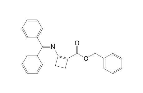 Benzyl 2-[(Diphenylmethylene)amino]cyclobutene-1-carboxylate