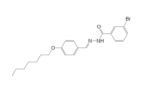 benzoic acid, 3-bromo-, 2-[(E)-[4-(heptyloxy)phenyl]methylidene]hydrazide