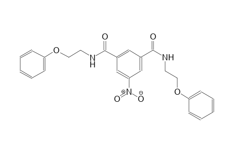 5-Nitro-1-N,3-N-bis(2-phenoxyethyl)benzene-1,3-dicarboxamide