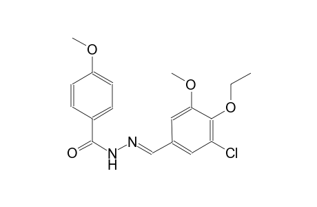 N'-[(E)-(3-chloro-4-ethoxy-5-methoxyphenyl)methylidene]-4-methoxybenzohydrazide