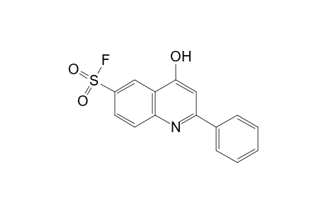 6-Quinolinesulfonyl fluoride, 4-hydroxy-2-phenyl-