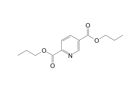 Isocinchomeronic acid dipropyl ester