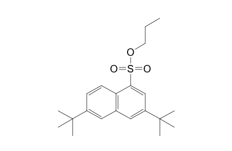 3,6-di-tert-butyl-1-naphthalenesulfonic acid, propyl ester