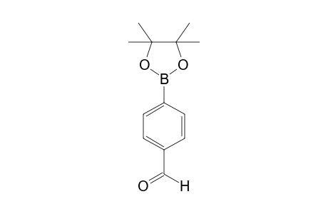 4-Formylbenzeneboronic acid pinacol ester