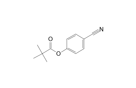 2,2-Dimethylpropanoic acid, 4-cyanophenyl ester