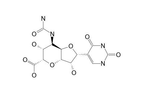 Nucleoside C