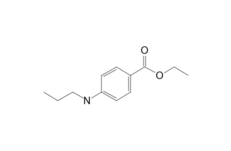 Benzocaine, N-(N-propyl)-