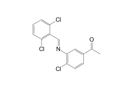 4'-chloro-3'-[(2,6-dichlorobenzylidene)amino]acetophenone