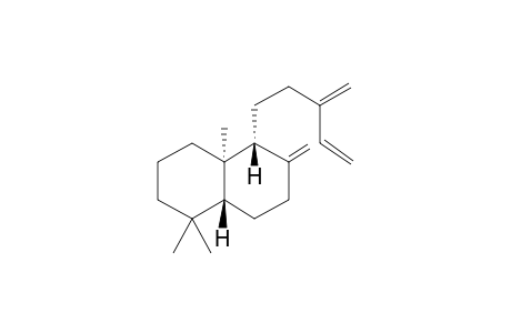 Sclarene