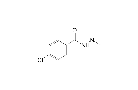 p-chlorobenzoic acid, 2,2-dimethylhydrazide