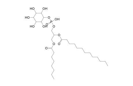 PI 8:0_13:0