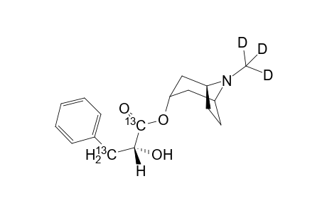 (R)-Phenyl[1,3-13C2]lactoyl[methyl-2H3]tropine(littorine)