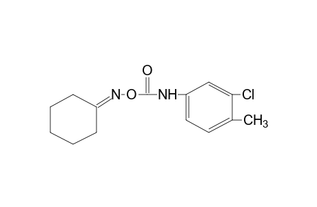 cyclohexanone, O-[(3-chloro-p-tolyl)carbamoyl]oxime