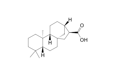 16alpha-Hydro-ent-kauran-17-oic acid