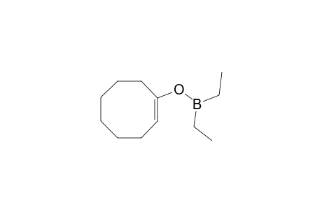 1-Cycloocten-1-yl diethylborinate