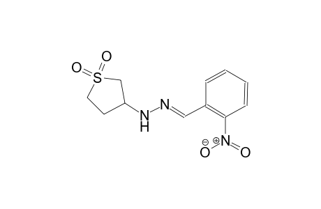 2-nitrobenzaldehyde (1,1-dioxidotetrahydro-3-thienyl)hydrazone