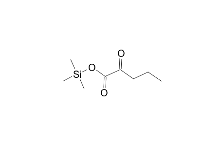 2-Oxopentanoic acid trimethylsilyl ester