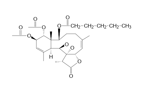 CAVERNULINE