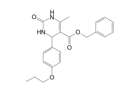 Benzyl 6-methyl-2-oxo-4-(4-propoxyphenyl)-1,2,3,4-tetrahydro-5-pyrimidinecarboxylate